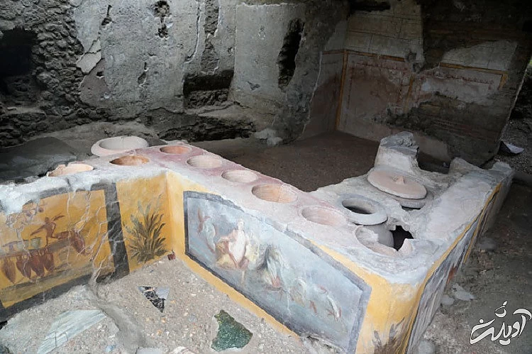 (تصاویر) عطر مورد علاقه کلئوپاترا، ملکه مشهور مصر چه بود؟